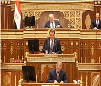 عضو مجلس الشيوخ: مصر تتعرض لحملات ممنهجة لتغييب الوعي‎‎