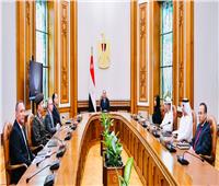 السيسي يستقبل رئيس مجموعة موانئ أبوظبي