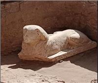 «أبو الهول وبقايا مقصورة كلاوديوس» كشف أثري جديد بجوار معبد دندرة| صور