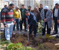 محافظ الإسكندرية: استلام 200 ألف شجرة لزراعتها ضمن المبادرة