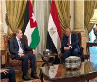وزير الخارجية يلتقي بنظيرة الأردني 