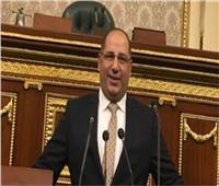 برلماني: الرئيس السيسي يولى اهتمامًا كبيرًا بالتصنيع والإنتاج الغذائي في مصر