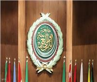 «الوزارية العربية» برئاسة مصر تناقش التدخلات التركية في الشئون الداخلية العربية 