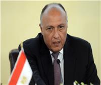 سامح شكري: مصر تعمل على تعزيز دور الجامعة العربية
