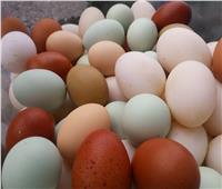 كل ما تريد معرفته عن «البيض البودر» وأسعاره ولماذا يختلف عن العادي؟