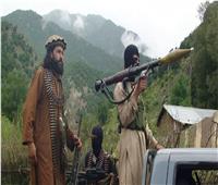 تقرير أمريكي:  طالبان تمتلك أسلحة بقيمة 7.2 مليار دولار 