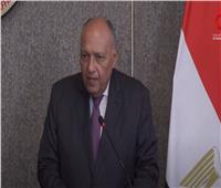 وزير الخارجية: لجنة مشتركة لبلورة التعاون بين مصر وكيني