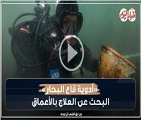 أدوية قاع البحار.. البحث عن العلاج في الأعماق| فيديو 