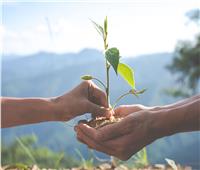 أستاذ الإعلام البيئي: مبادرة مليون شجرة تهدف لتحسين الجودة البيئية |فيديو