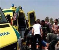 إصابة 6 أشخاص في انقلاب سيارة بالطريق الصحراوي بأسوان