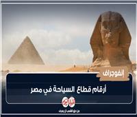 أرقام قطاع السياحة في مصر ..أبرزها عدد الشركات  السياحية | انفوجراف