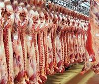 تفاصيل طرح اللحوم التشادية في الأسواق بأسعار مخفضة