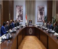رئيس الوزراء يتابع مستجدات العمل بمشروع المتحف المصري الكبير