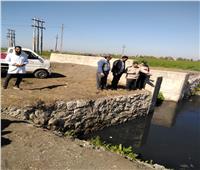 لجنة من الطب البيطري بالغربية تعاين موقع العثور على الحمير المذبوحة بقطور