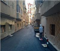 محافظ أسيوط يؤكد على استكمال أعمال التطوير والتجميل بشوارع حي شرق  