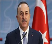 وزير الخارجية التركي: نعمل على عقد قمة بين أردوغان والسيسي