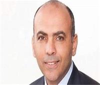 برلماني: الدولة تسير في مشروعات الريف المصري دون توقف