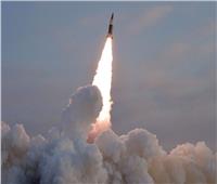 وكالة: كوريا الشمالية أطلقت عدة صواريخ كروز قبالة ساحلها الشرقي