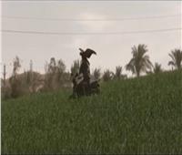 أحمد العوضي يهرب من سوهاج بسبب الثأر في الحلقة الأولي من «ضرب نار»