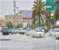 ثلوج خفيفة وأمطار رعدية على عدد من المناطق السعودية