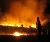 فيديو| الحرائق تلتهم 4600 هكتار من الغابات بإسبانيا 