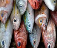 استقرار أسعار الأسماك  في سوق العبور اليوم 31 مارس 