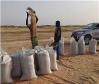دعم من «اكساد» لموريتانيا في زراعة القمح