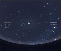 شاهد نجمي الربيع والشتاء اليوم