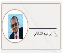 "مصر والسعودية: ركيزة أساسية للاستقرار في المنطقة العربية"