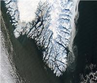 «بسبب انبعاثات الكربون».. صفيحة جرينلاند الجليدية تقترب من نقطة انصهار اللا عودة