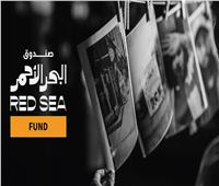 صندوق البحر الأحمر يُعلن بدء الجولة الثانية للتقدم لدعم المشاريع في مرحلة التطوير