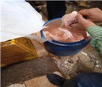 «في رمضان».. محل شهير يحقن الدواجن بالمياه لبيعها أزيد من وزنها الحقيقي بالغربية
