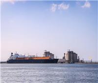 ميناء دمياط يستقبل 13 سفينة للغاز المسال وناقلات القمح