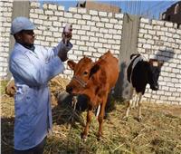 مباحث الغربية تضبط تاجر ماشية تعدى على أطقم طبية بمستشفى المبرة في المحلة