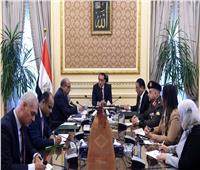  رئيس الوزراء يبحث سبل استغلال احتياطات مصر من خام التنتالوم      