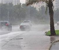 الأرصاد: فرص سقوط الأمطار مستمرة حتى شهر مايو