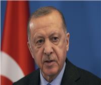 أردوغان: ضخ غاز البحر الأسود في الشبكة المحلية ابتداء من 20 أبريل الجاري