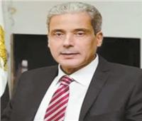 د. محمد عفيفي: الدارما المصرية أداة جيدة للتوثيق