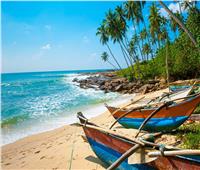 للسياحة في سريلانكا.. أفضل 7 مناطق في لؤلؤة المحيط الهندي| صور
