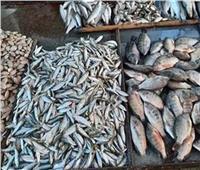 استقرار أسعار الأسماك في سوق العبور الأحد 16 أبريل