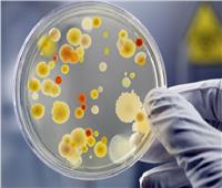  مقاومة المضادات الحيوية.. كيف تخلق «البكتيريا العنيدة» طاقتها؟