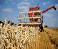 بلغاريا تدرس فرض حظر على واردات الحبوب من أوكرانيا