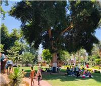 محافظ أسيوط: الحدائق والمتنزهات في ثاني أيام العيد تشهد توافدًا كبيرًا