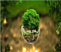 اليوم العالمي للأرض.. «النجمة الخضراء» هدف السياحة لتحقيق رؤية مصر 2030