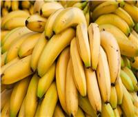 «الطاقة ومقاومة فقر الدم».. أبرز فوائد الموز للجسم 