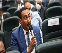 برلماني عن نجاح جهود عودة المصريين من السودان: مصر تدير ملفاتها بحكمة ورشد ‎‎