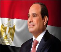 السيسي: سيناء كانت المستهدف الأول لأكبر موجة إرهابية مرت على تاريخ مصر