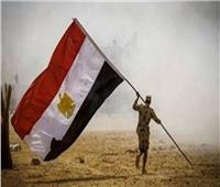  في ذكري تحرير سيناء.. 5 أفلام رصدت أحداث استعادة أرض الفيروز