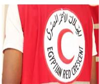 الهلال الأحمر ينشر أرقاما هاتفية لمساعدة المصريين في السودان 