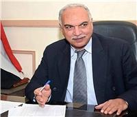 الزراعة: نتوقع إنتاج 9.5 مليون طن قمح الموسم الحالي |خاص